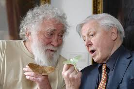 Sir David with another famous David whose wildlife-themed programmes I  watched in the 1980s (children's TV legend David Bellamy OBE).