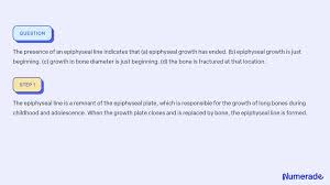 Solved: The Presence Of An Epiphyseal Plate Indicates That The Bone Is  Lengthening. The Bone Is De [Biology]