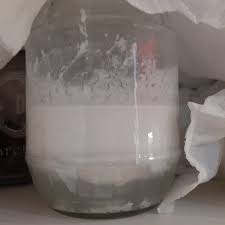 This drink contains about 0.8. Kefir Preparato In Casa La Cucina Di Ginetta