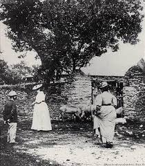 Au Bosc In 2020 Toulouse Toulouse Lautrec Photo