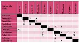 13 skillful allergy cross sensitivity chart