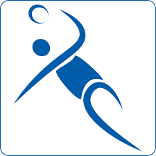 Robben accused of dive against bochum. Vfl Bochum 1848 Gesamtverein
