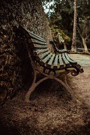Taman kota ini bernama central park yang menjadi pusat hiburan dan wisata alam bagi masyarakat kota new york. Mebel Bangku Kursi Taman Pohon Menanam Di Luar Rumah Banco Kursi Piqsels