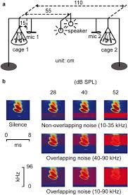 Aspects of program control over technological innovations with consideration of risks. Linking The Sender To The Receiver Vocal Adjustments By Bats To Maintain Signal Detection In Noise Scientific Reports