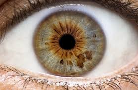 Iridology Its All In The Eyes Centre Of Excellence
