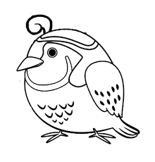Select from 32494 printable crafts of cartoons, nature, animals, bible and many more. Chibi Quail Coloring Page Color Luna