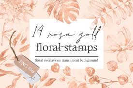 Here you can explore hq rose gold transparent illustrations, icons and clipart with filter setting like size, type, color etc. Rose Gold Floral Stamps 14 Png Pre Designed Photoshop Graphics Creative Market