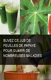 Buvez Ce Jus De Feuilles De Papaye Pour Guerir De Nombreuses Maladies Nombreusesmaladies Maladies Guerir Buvez Jus Feuilles Detox Glassware Soap Bottle