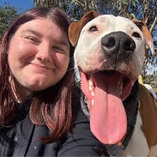 Why use paint stained brushes in food decoration?