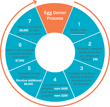 Check spelling or type a new query. Egg Donor Compensation Shady Grove Fertility