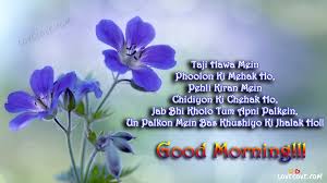 Good morning prayer quotes image. 52 Good Morning Quotes In Hindi Images Photo Whatsapp