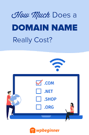 How Much Does A Domain Name Really Cost Expert Answer Domain Privacy Names Book Blog