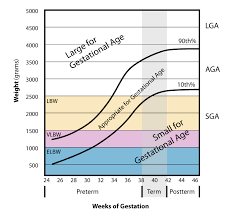 Pronunciation of gestation and its etymology. Small For Gestational Age Wikipedia