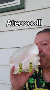 Making an Atecocolli conch Shell Horn, Concha #aztec #mexico #azteca #art  #mexica #concha #indigenous #nativeamerican #mexican #conch #atecocolli  #mesoamerica #native #aztecart #chicano #cultura ...