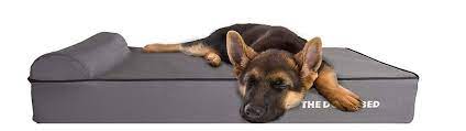 Kennel dog beds or crate dog beds are flat mattresses used in a kennel or crate to protect gsds from the floor or hard crate pans while sleeping or resting. The 8 Best Dog Beds For German Shepherds Reviews Guide 2021