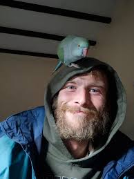 Out delivering all your non drop Norwegian spruce Christmas trees all day!  £45 5-6ft £50 7ft plus DELIVERED 🎄🌲🎄🌲