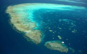 Check spelling or type a new query. How To Visit The Great Barrier Reef Tours From Cairns Queensland