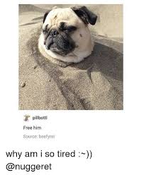Pillbottl Free Him Source Beefyrat Why Am I So Tired Meme On Me Me