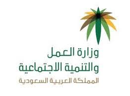 الاستعلام عن رخصة العمل برقم الإقامة إقرأ نيوز