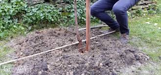 We did not find results for: How To Plant A Bare Root Fruit Tree Step By Step