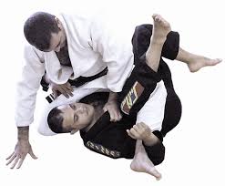 Resultado de imagen para jiu jitsu biografia