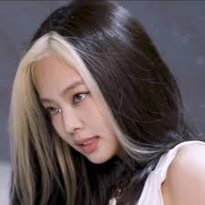 On Twitter In 2020 Hair Inspo Color Hair Streaks Aesthetic Hair