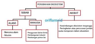 Pada subtema 1 ini terdiri dari 6 kegiatan pembelajaran yang harus diselesaikan oleh siswa secara individu dengan tepat. Kunci Jawaban Tema 5 Kelas 5 Halaman 49 50 52 Subtema 1 Komponen Ekosistem Pembelajaran 6