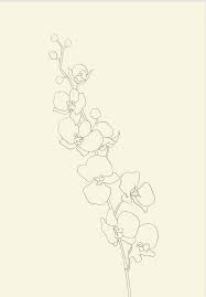 Orchid No 1 Orchid Drawing Flower Line Drawings Flower Drawing