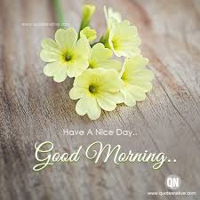 Have A Nice Day Wishes Quotes In 2020 Good Morning Flowers Good Morning Images Flowers Good Morning Beautiful Images