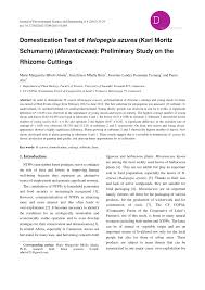 Image result for Halopegia