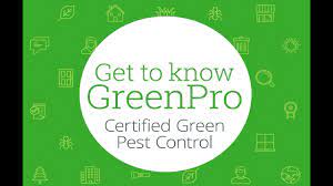 All green pest control, спрингфилд (массачусетс). Are Green Pest Control Solutions Right For You Palmetto Exterminators