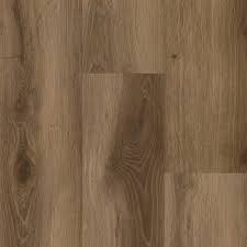 Image result for Light Mesa Brown 1991 Astro