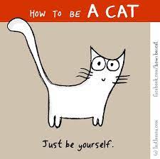 How To Be A Cat Crazy Cats Funny Cats Funny Illustration