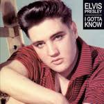 The Elvis Presley Fan and more.....
