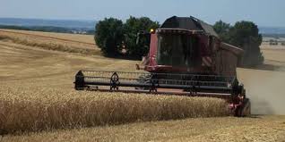Ipm is not a single pest control method but, rather, a series of pest management evaluations continuous monoculture, or monocropping, where the same species is grown year after year, can lead to the quicker buildup of pests and diseases, and. Pros And Cons Of Monoculture Farming Greentumble
