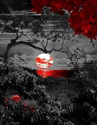 Beautiful Black And White Photography With Color Splash Pin By Juju Hin On Splash Color Splash Red Color Splash Color Splash Photo