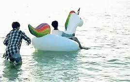 Share the best gifs the best gifs of rafting on the gifer website. Unicorn Raft Nope Gif Unicornraft Nope Discover Share Gifs Nope Gif Rafting Bts Jin