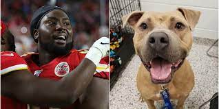 Community and corporate sponsors 5445 parallel parkway kansas city, ks 66104 Super Bowl Chiefs Derrick Nnadi Paid 100 Dog Adoption Fees After Win