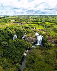 Image result for Marquesia macroura