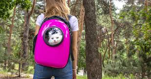 Fat cat backpack, harness, leash, travel litter box, easy trave. Best Cat Backpack Of 2021 10 Cat Carriers Reviewed Buying Guide