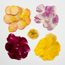 We did not find results for: Diy Pressed Flower Tray Page 2 Of 2 The House That Lars Built