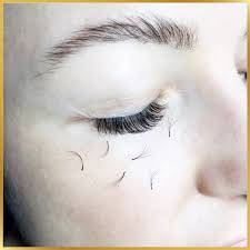 There are a few things you can do to help out your. This Is The Real Reason Why Your Eyelash Extensions Are Falling Off Kiyosa Japanese Total Beauty