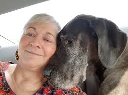 CBD products for natural pain management