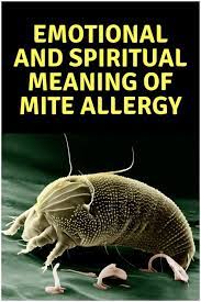 Allergies Spiritual Meaning Causes Symptoms Prevention Dust Mite Allergy Allergies Allergy Rash