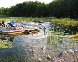 Poolscape Pool Design Build And Management Natural Swimming Ponds Swimming Pond Natural Swimming Pools