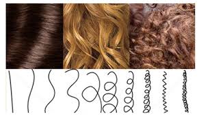 This can also affect how oily your hair is, as hair the shaft of your hair affects how curly it is because of the way protein molecules build up. Is It Better To Have Curly Or Straight Hair Genes And Hair Curl