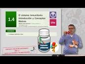 Resultado de imagen para INMUNOLOGÍA HUMANA inmunopíldoras