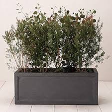amazon 植木鉢 大型 ファイバークレイプロ ノーマン 長角プランター 60 グレー プランター 玄関 植物 プランター 植木鉢