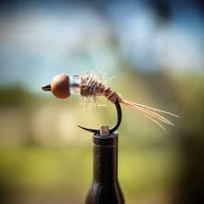 Image result for Copper Chestnut 2012 Cygnet