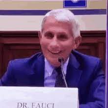 Christmas minions santa hat dancing. Fauci Gifs Tenor
